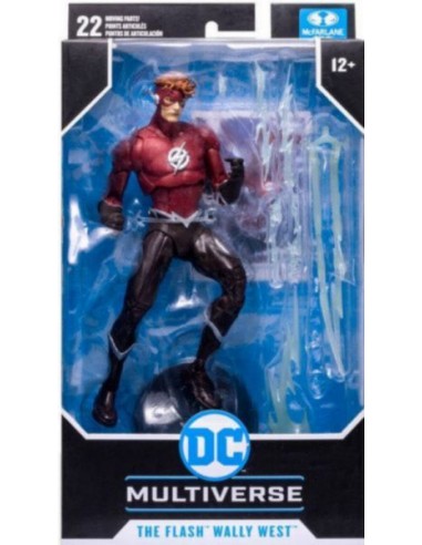 DC Multiverse The Flash Wally West