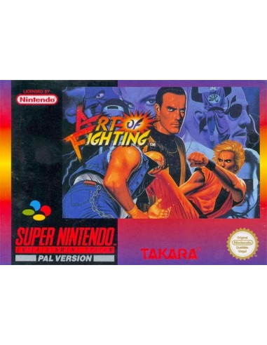 Art of Fighting ( Manual Det.) - SNES