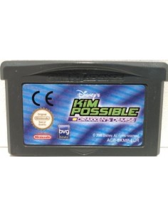 Kim Possible Draken's...