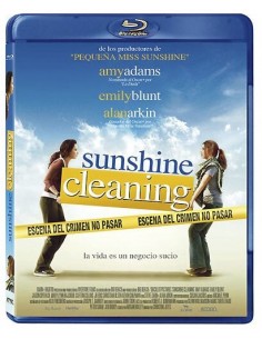 Sunshine Cleaning