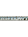 Silversoft
